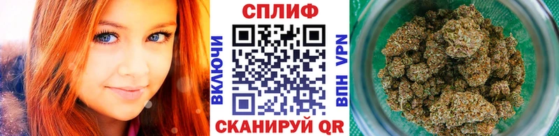 Купить закладки  Лениногорск  Бошки Шишки AK-47 